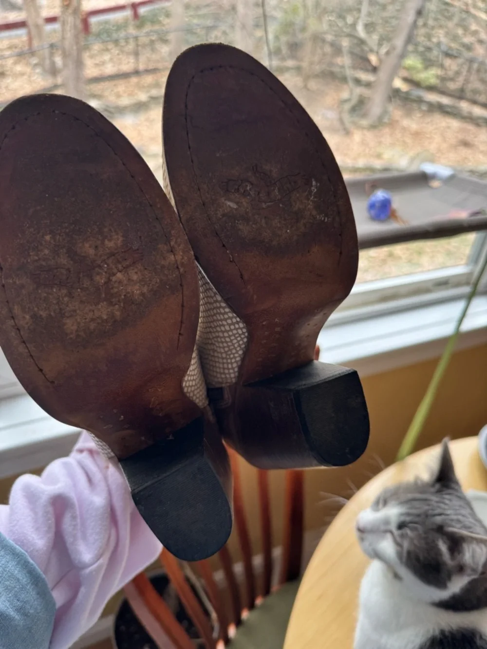 Freebird “DETROIT by Steven Two-Tone Brown and Cream Snake-Pattern Ankle Booties - Picture 5 of 8